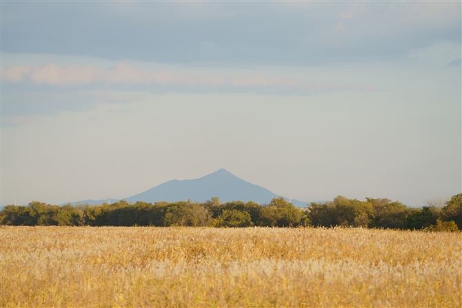 }gR,Tukuba Mountain